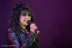 Tower-De-Vlijt-20241130-TempusFugit-002