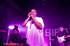 Typhoon-02-05-24-bird-003