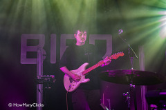 Typhoon-02-05-24-bird-004