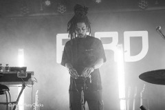 Typhoon-02-05-24-bird-014