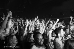 Typhoon-02-05-24-bird-027