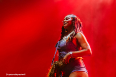 Flo-Rida-13-10-25-Afas-live-capturedbyracheell-009