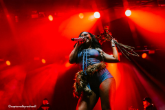 Flo-Rida-13-10-25-Afas-live-capturedbyracheell-015