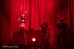 Charlotte-Wessels-Ziggo-Dome-07022026-corinne-jansen-vulders_006