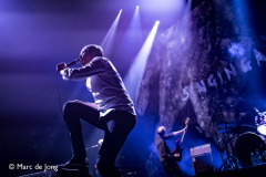 Suede-013-11032026-Marc-de-Jong_-12