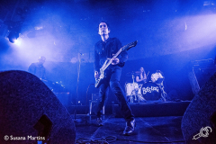 boss-hog-paradiso-susanamartins-013