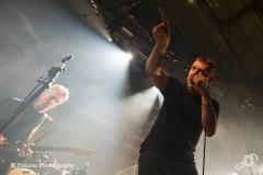 the-good-the-bad-the-queen-paradiso-2019-fotono_014