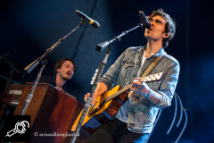 The_Common_Linnets_isf_2016-003