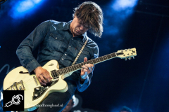 The_Common_Linnets_isf_2016-004