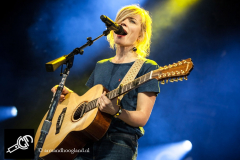 The_Common_Linnets_isf_2016-005