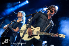 The_Common_Linnets_isf_2016-006
