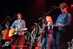 The_Common_Linnets_isf_2016-008