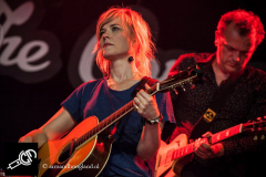 The_Common_Linnets_isf_2016-009