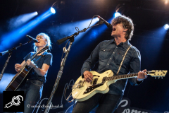 The_Common_Linnets_isf_2016-011