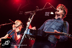 The_Common_Linnets_isf_2016-012