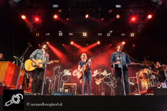 The_Common_Linnets_isf_2016-013