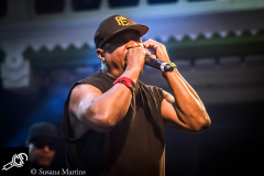 Public-Enemy-at-Paradiso-13_06_2016-023
