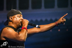 Public-Enemy-at-Paradiso-13_06_2016-025