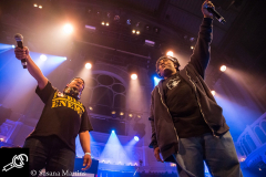 Public-Enemy-at-Paradiso-13_06_2016-03