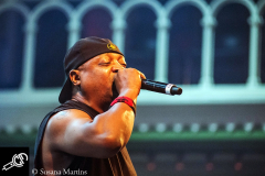 Public-Enemy-at-Paradiso-13_06_2016-034