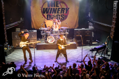 20160616-214516-440__TheWineryDogs_013_Tilburg