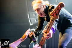 20160616-220215-000__TheWineryDogs_013_Tilburg