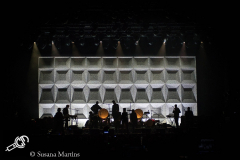 PJ-Harvey-at-DTRH2016-24_06_2016-15