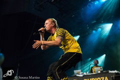 Dubioza-Kolektiv-at-DTRH2016-26_06_2016-05