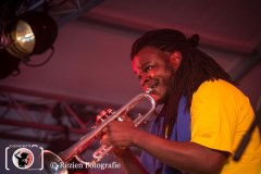 hot_8_brass_band_rezien-2