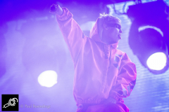 DieAntwoord_LL2016_PaulBarendregt__8567