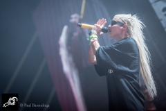 DieAntwoord_LL2016_PaulBarendregt__8598