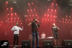 Broederliefde_Lowlands_PaulBarendregt_144710_7349