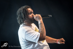 Hef_Lowlands_PaulBarendregt_175824_9832