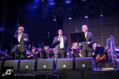 Tributo_Lowlands_PaulBarendregt_140110_7332