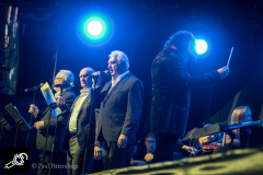 Tributo_Lowlands_PaulBarendregt_140617_9488