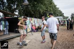Sfeer_Lowlands_PaulBarendregt_134011_7329