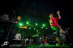 Bazart_Lowlands2016_Rezien-4