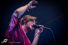 Bazart_Lowlands2016_Rezien-9