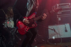 Flying_Colours__LC_29_10_2016_Paradiso__3