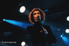 Seafret_ParadisoNoord_Nonjaderoo_2020_023