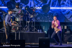 Rolf-Sanchez-Ziggo-Dome-23-07-2020-Fotono_008
