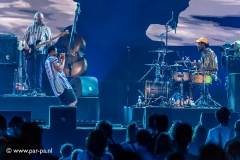 Typhoon-Ziggo-Domel-25-07-2020-par-pa-fotografie_024