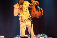 Dead Elvis & his one man grave