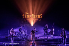 The-BlueBirds-Energiehuis-30-09-21-009