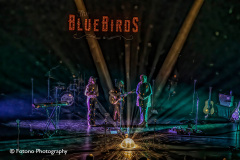 The-BlueBirds-Energiehuis-30-09-21-027