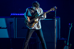 The-Vices-Ziggo-Dome-15042022-Denise-Amber_001