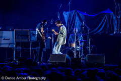 The-Vices-Ziggo-Dome-15042022-Denise-Amber_005