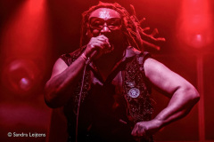Skindred