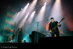 Editors-Dauwpop2-27052022-TempusFugit-001