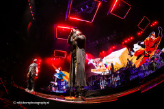 The-Script-Ziggo-Dome-10-06-2022-Nikki-Born-003